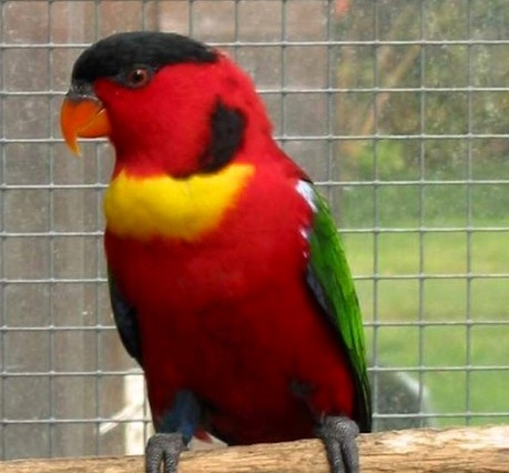 Foto 2